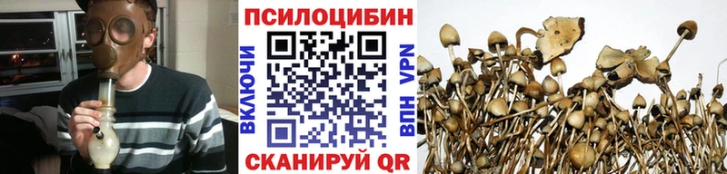 Купить закладки Осташков Галлюциногенные грибы мухоморы